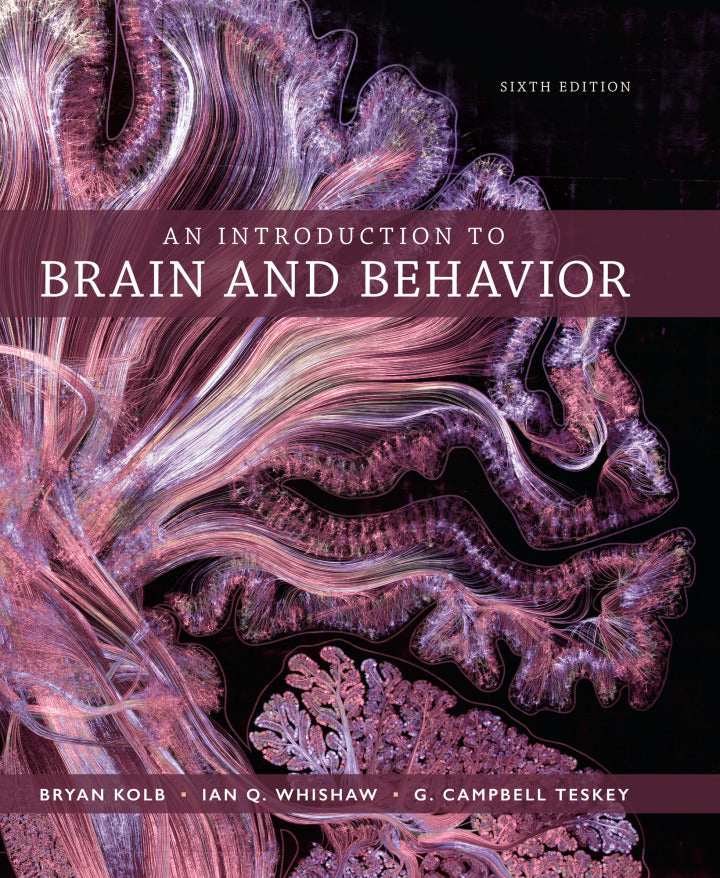 An Introduction to Brain and Behavior 6th Edition